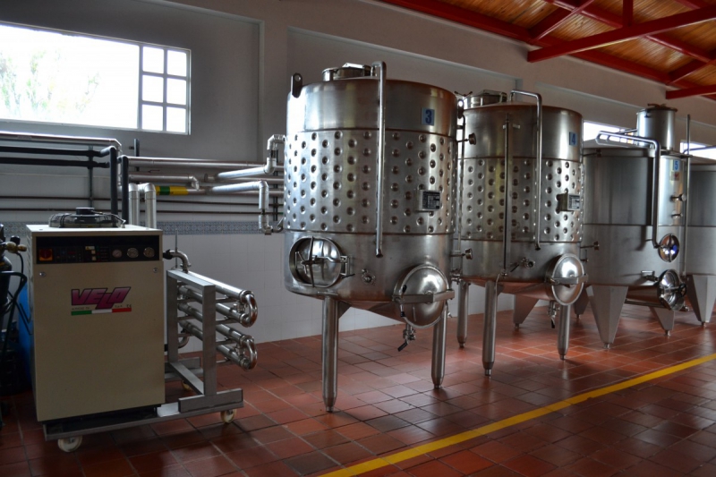 cave-FONTAN-min_wine_production_cantine_winery_drink_alcohol_vine_beverage-902036